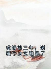 小说《成婚第三年，谢雁宁决定和离了》谢雁宁顾长卿全文免费试读