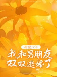 《相爱八年，我和男朋友双双逃婚了》沈乔陆云泽沈亚茹最新章节全文免费阅读