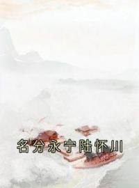 名分永宁陆怀川全文免费试读(陆怀川宋槿乔) 完结版